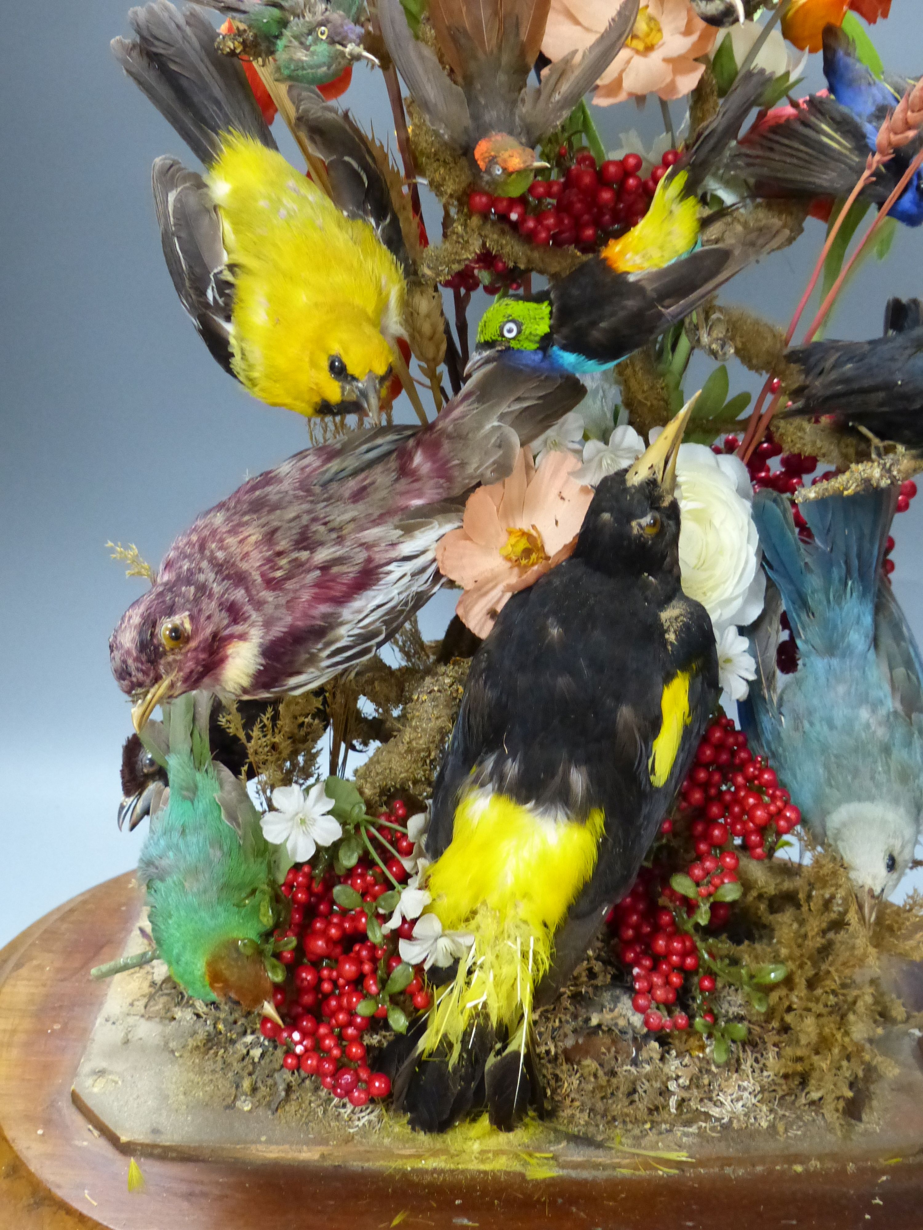 A Victorian still life display of taxidermic canaries, flowers and leaves